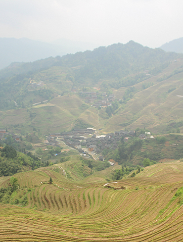 Solan, Himachal