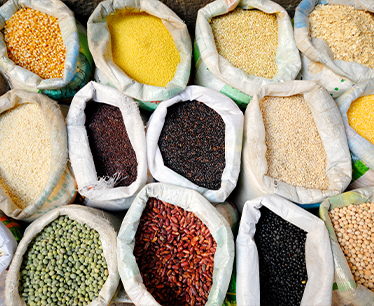 Himalayan Grains and Pulses