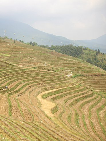 Tehri, Garhwal