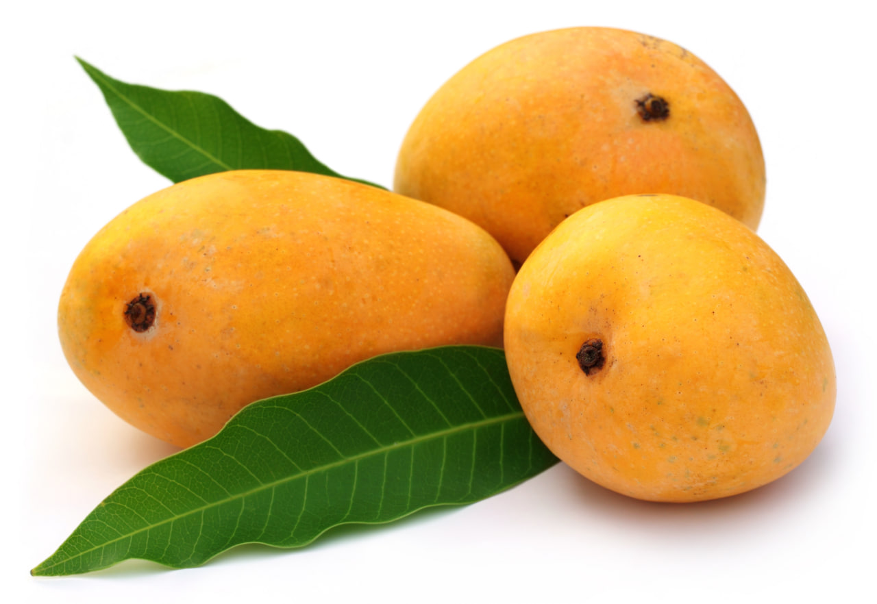 Why Mango is Called the King of Fruits?