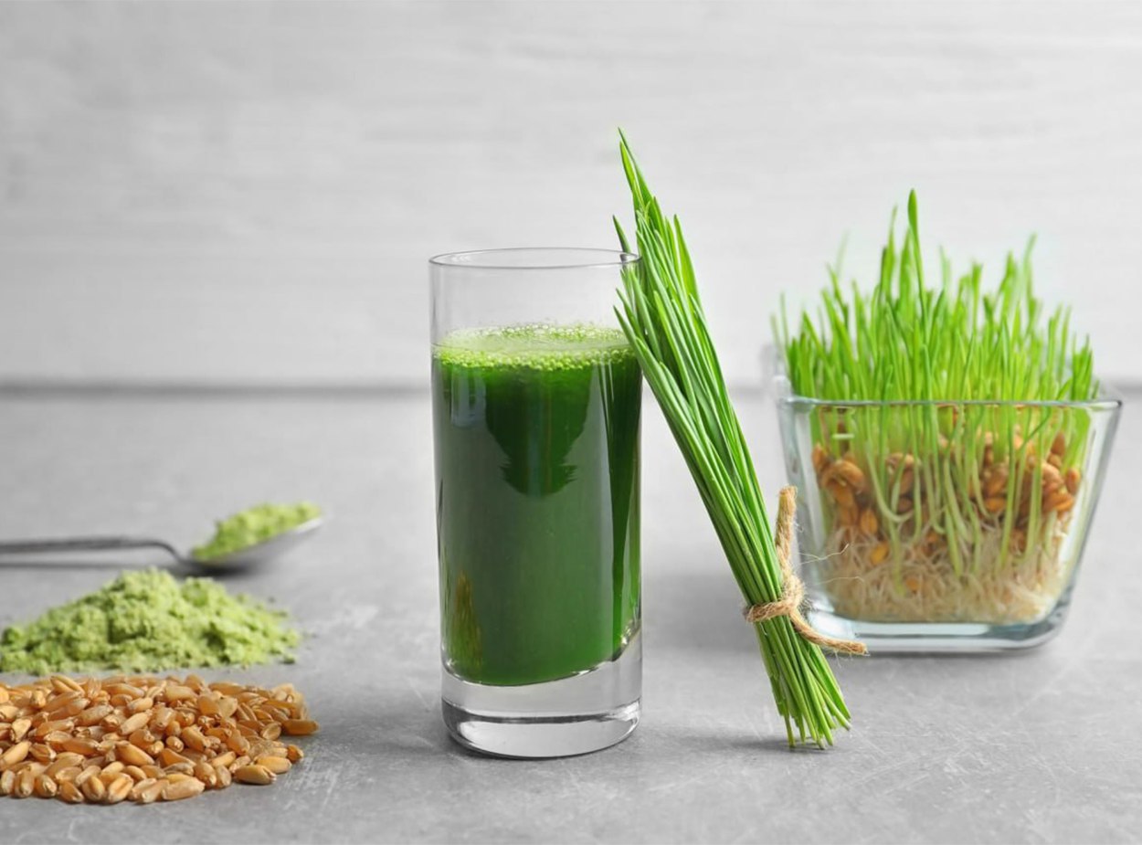 TFL Wheatgrass Cold Press Fresh Juice