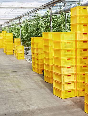 TFL Wholesale Supply