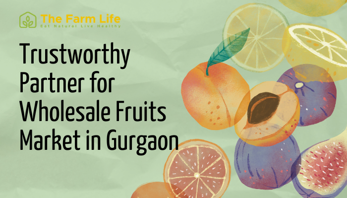 Trustworthy Partner for Wholesale Fruits Market in Gurgaon